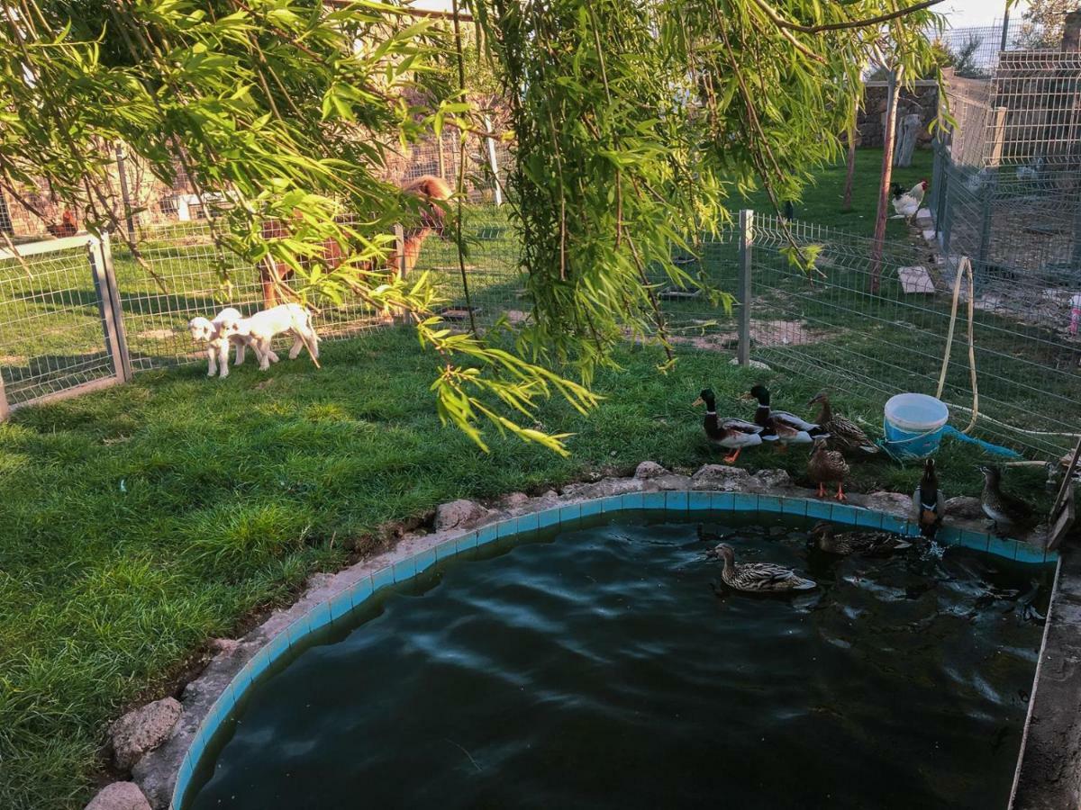 Assos Alis Farm Boutique Hotel & Spa Luaran gambar