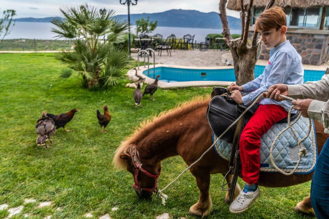 Assos Alis Farm Boutique Hotel & Spa Luaran gambar