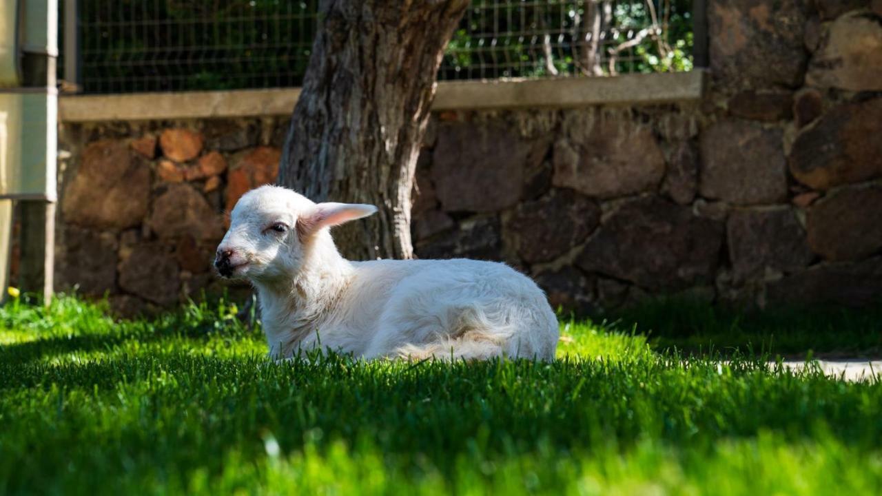 Assos Alis Farm Boutique Hotel & Spa Luaran gambar