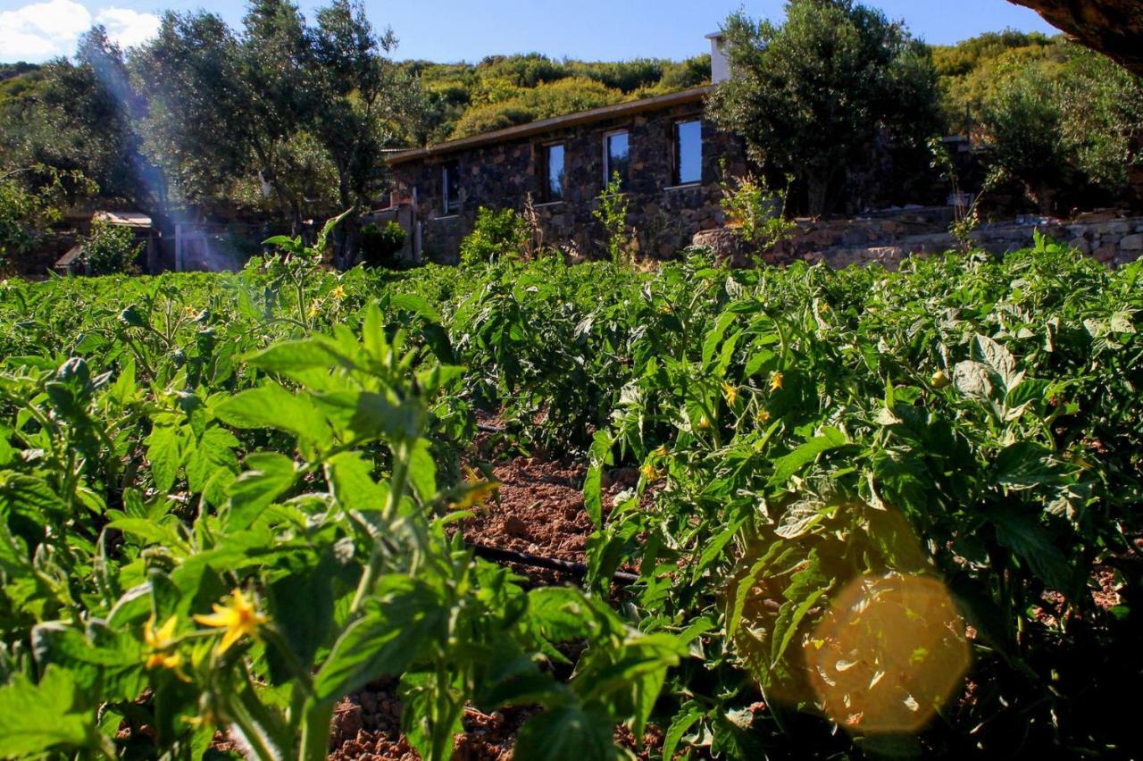 Assos Alis Farm Boutique Hotel & Spa Luaran gambar